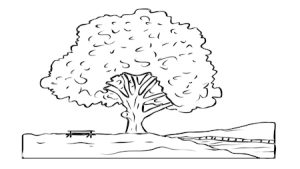 Boonville Missouri Landscaping Landscape Design