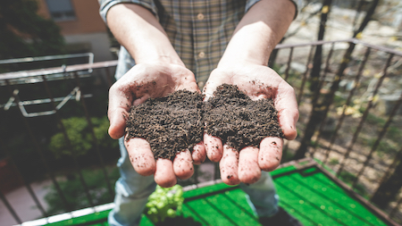 Close Up Of Hands Holding Soil