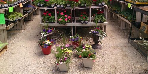booneville-missouri-landscaping-services-stanaway-land-designs-services-gallery-66