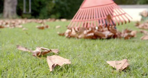 boonville-missouri-landscaping-maintenance-yard-cleanup-1