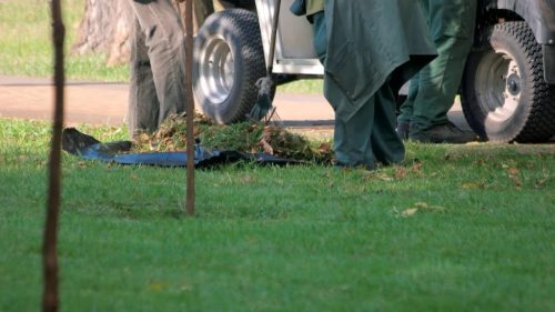 boonville-missouri-landscaping-maintenance-yard-cleanup-2