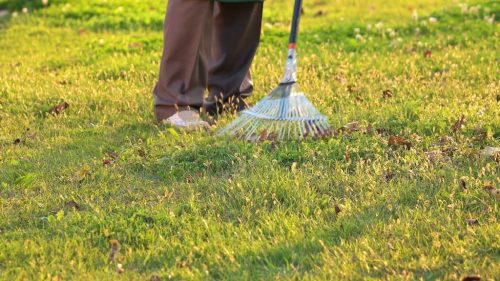 boonville-missouri-landscaping-maintenance-yard-cleanup-3