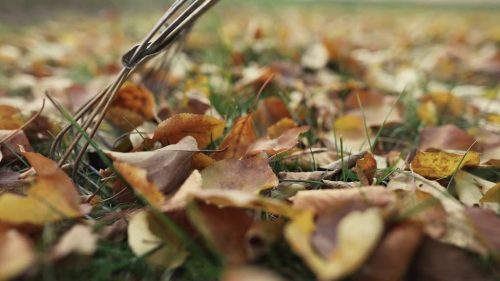 boonville-missouri-landscaping-maintenance-yard-cleanup-4